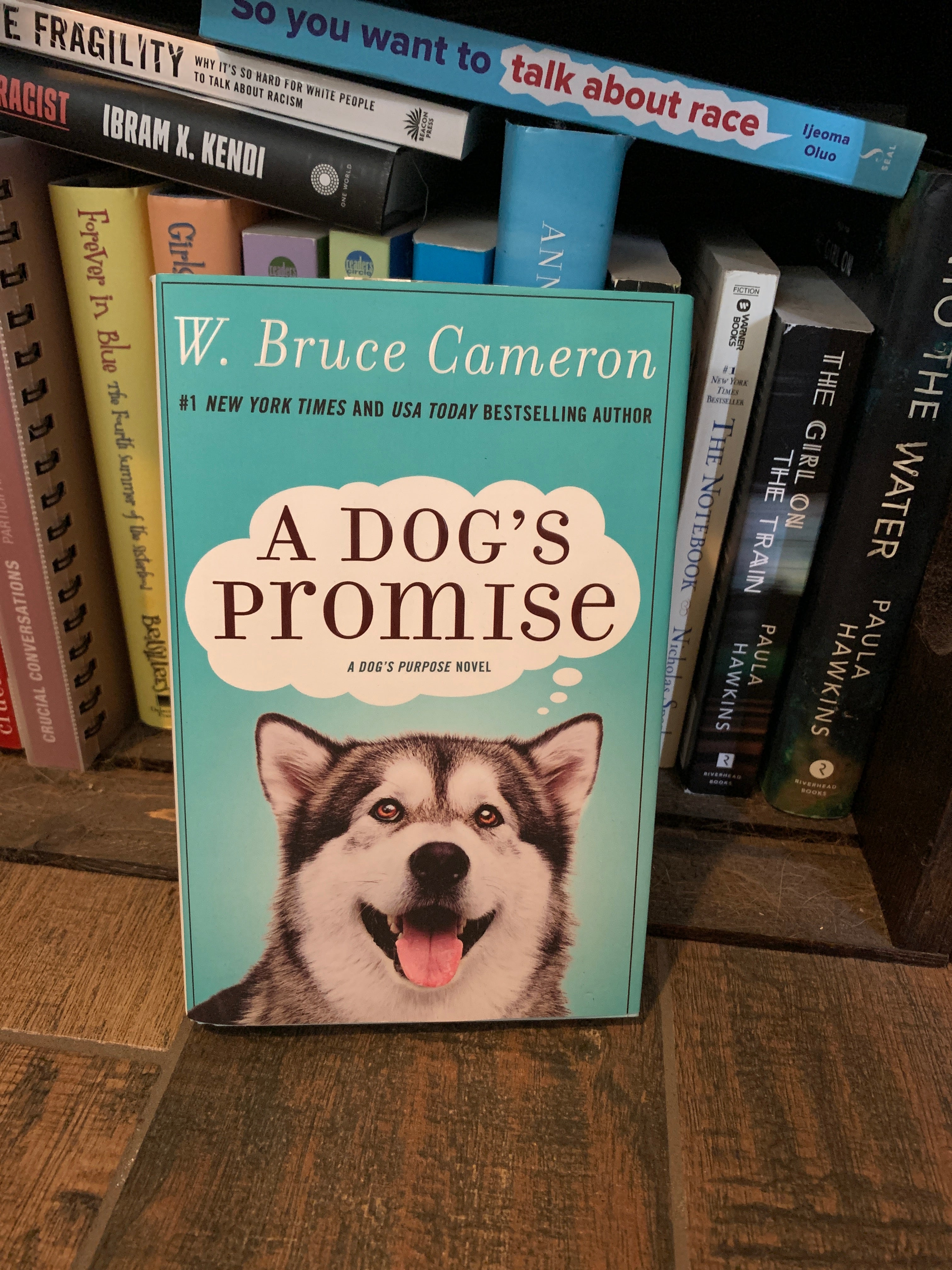 A Dog's Promise