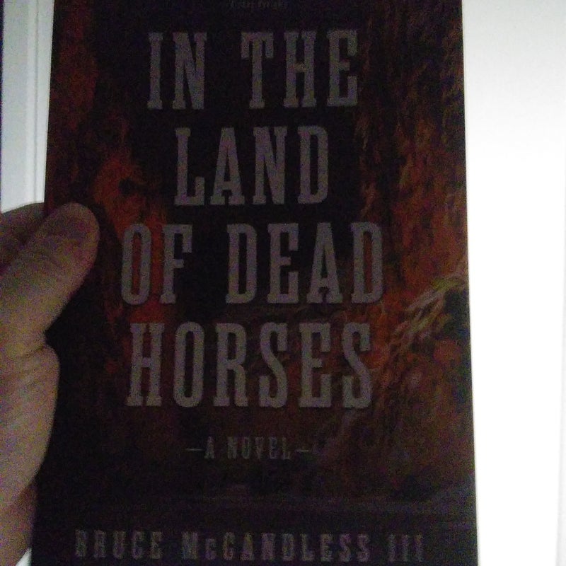 In the Land of Dead Horses