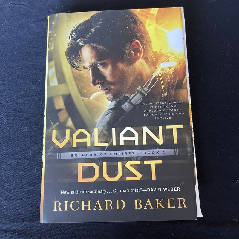 Valiant Dust