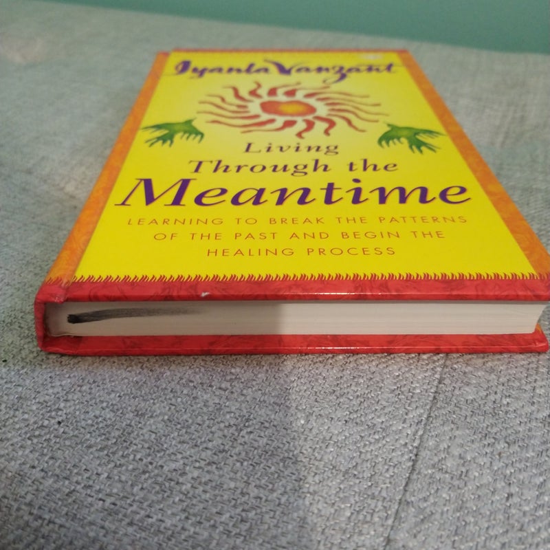 Living Through the Meantime : Learning to Break the Patterns of the Past and Begin the Healing Process