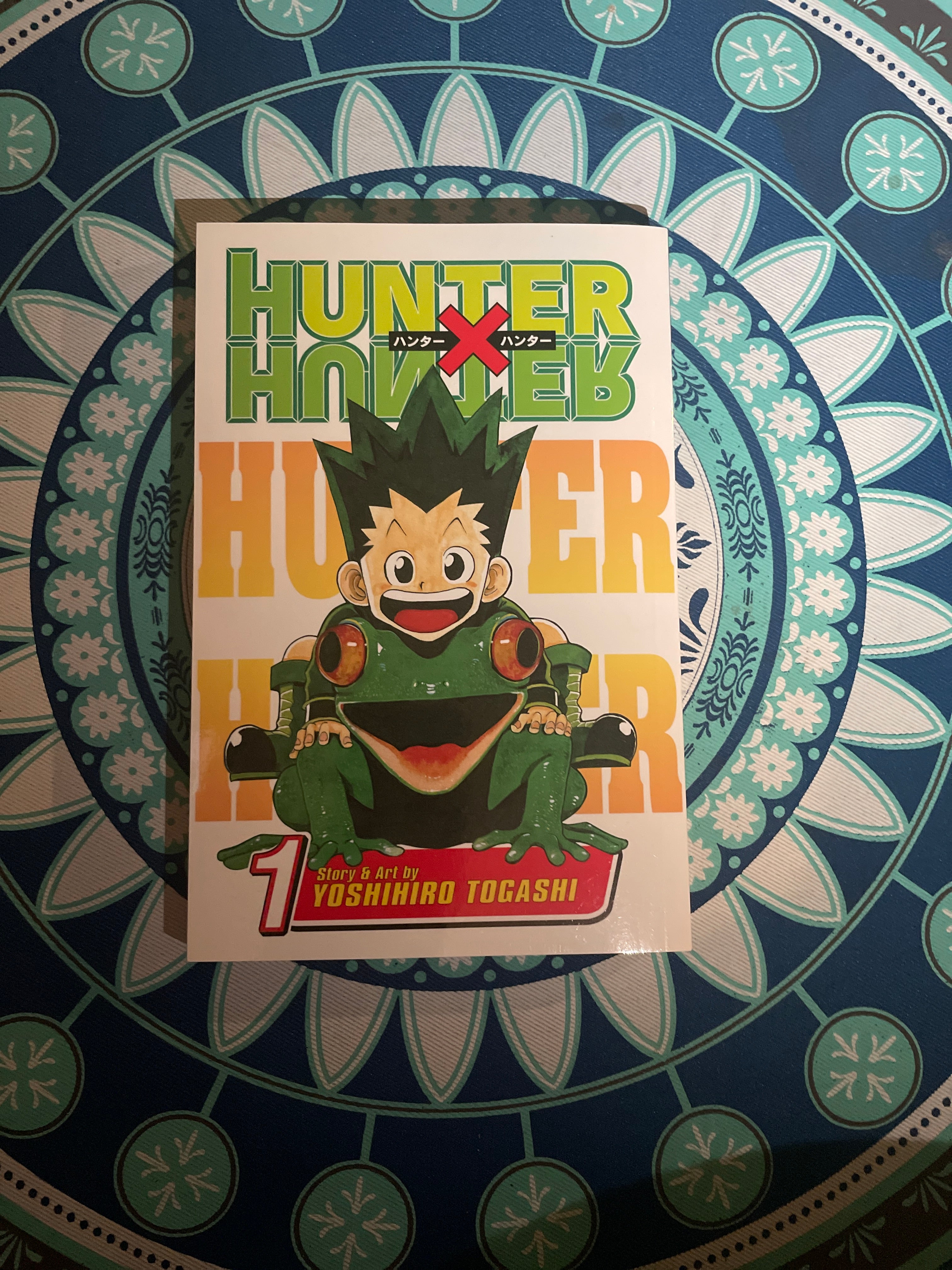 Hunter X Hunter, Vol. 1 by Yoshihiro Togashi, Paperback
