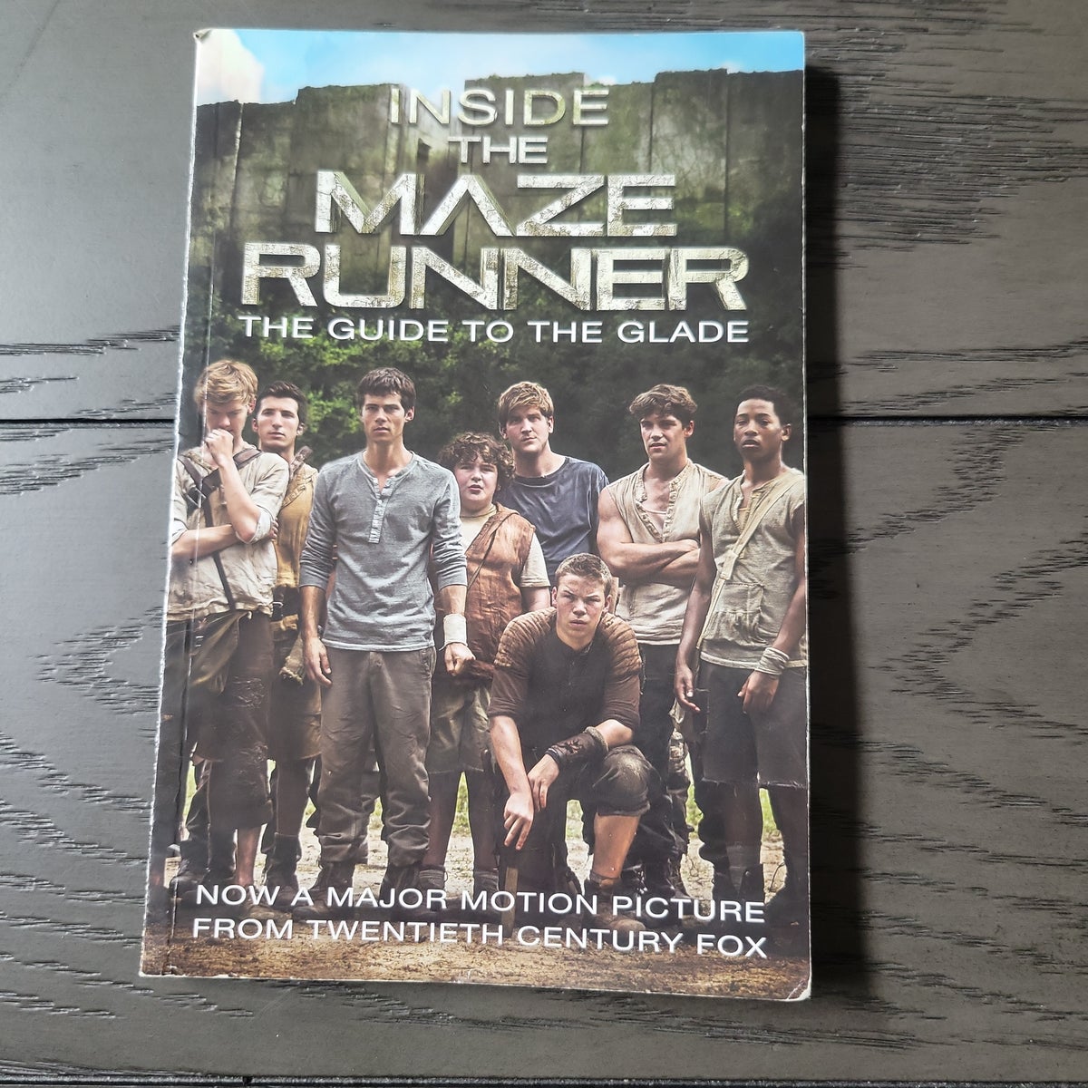 Inside the Maze Runner: the Guide to the Glade by Random House ...