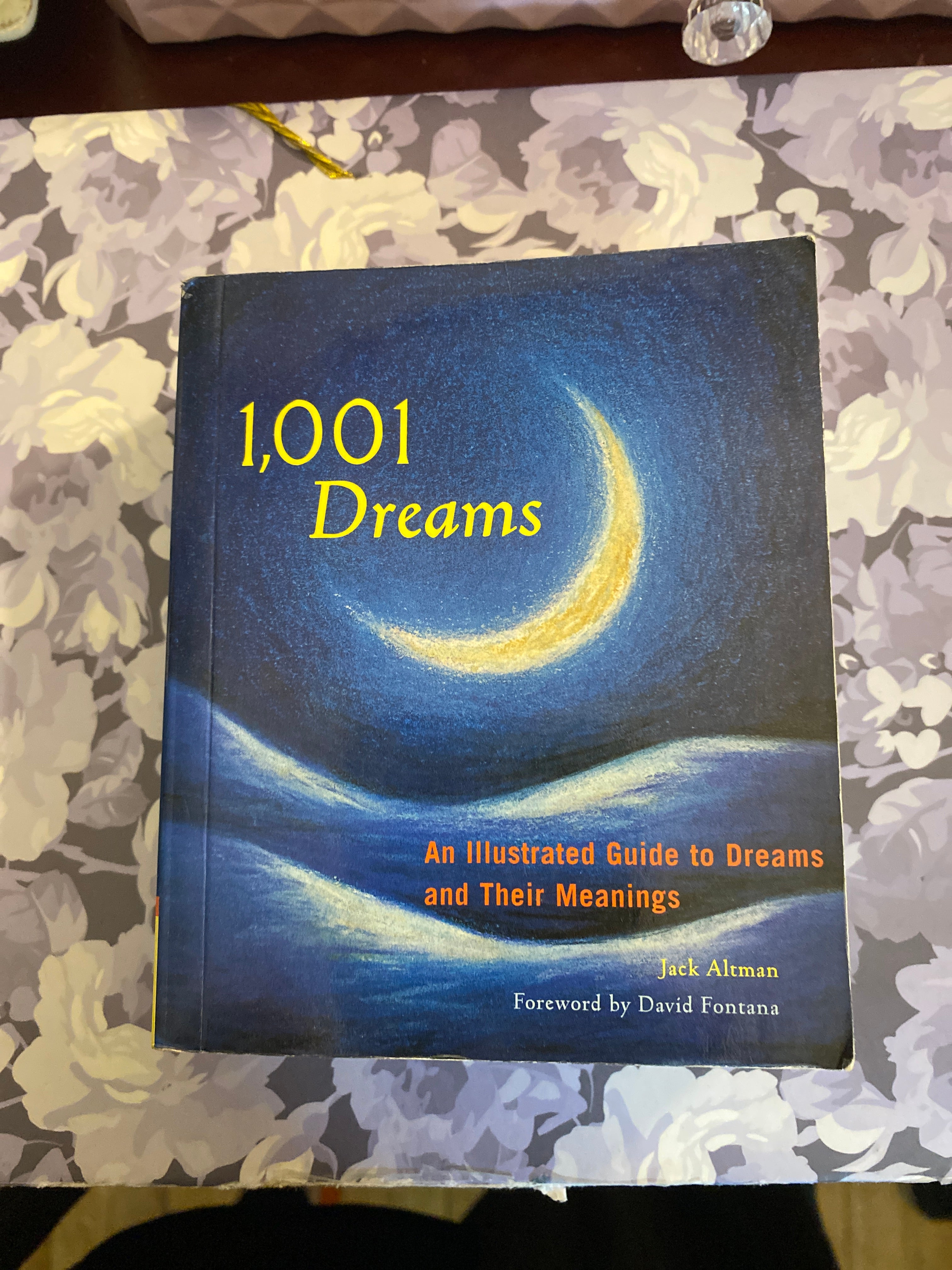 1001 Dreams