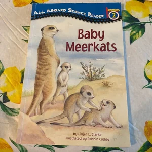 Baby Meerkats