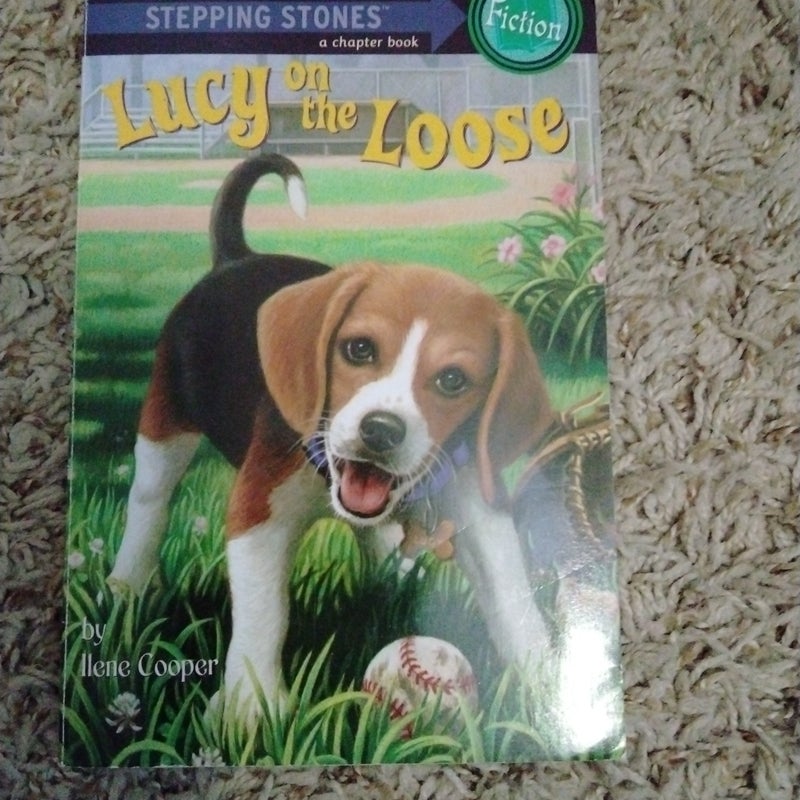 Absolutely Lucy #2: Lucy on the Loose