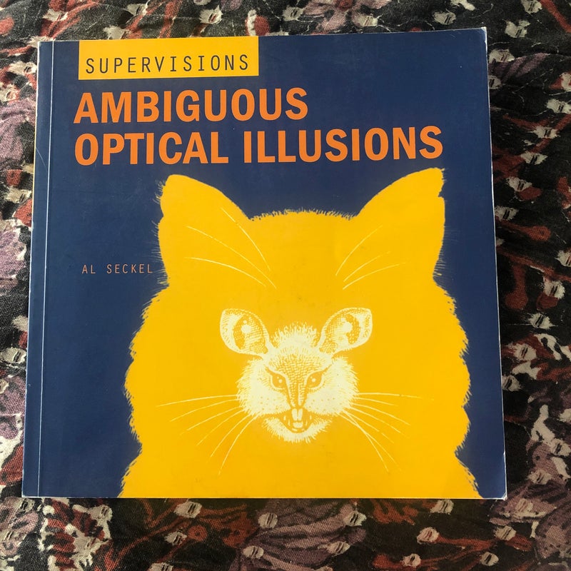 Ambiguous Optical Illusions