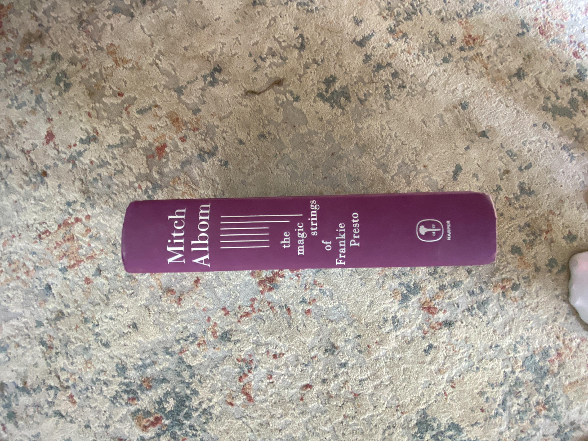 The Magic String of Frankie Pesto