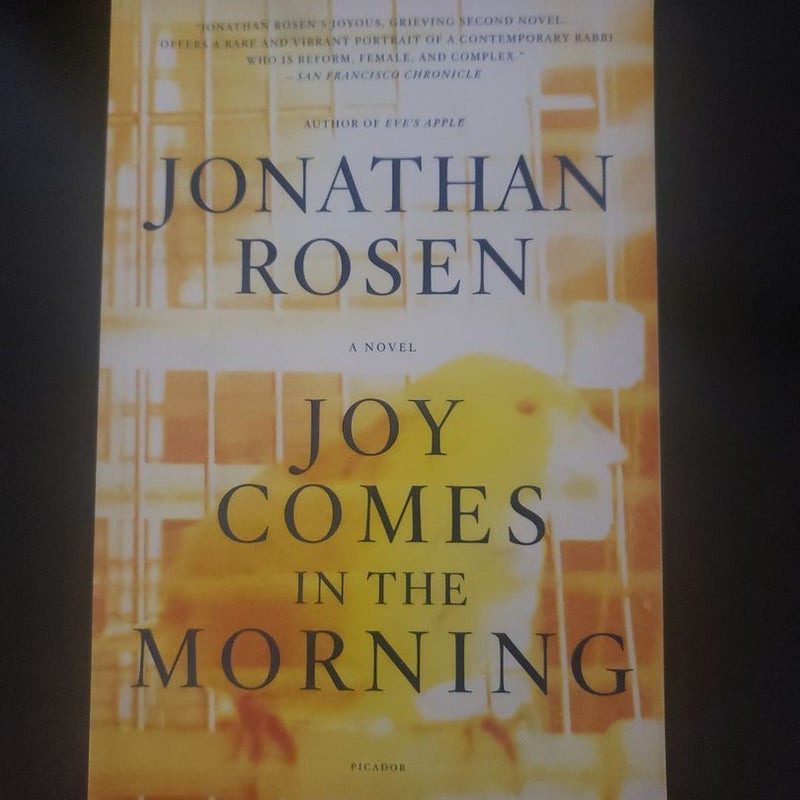 Joy Comes in the Morning