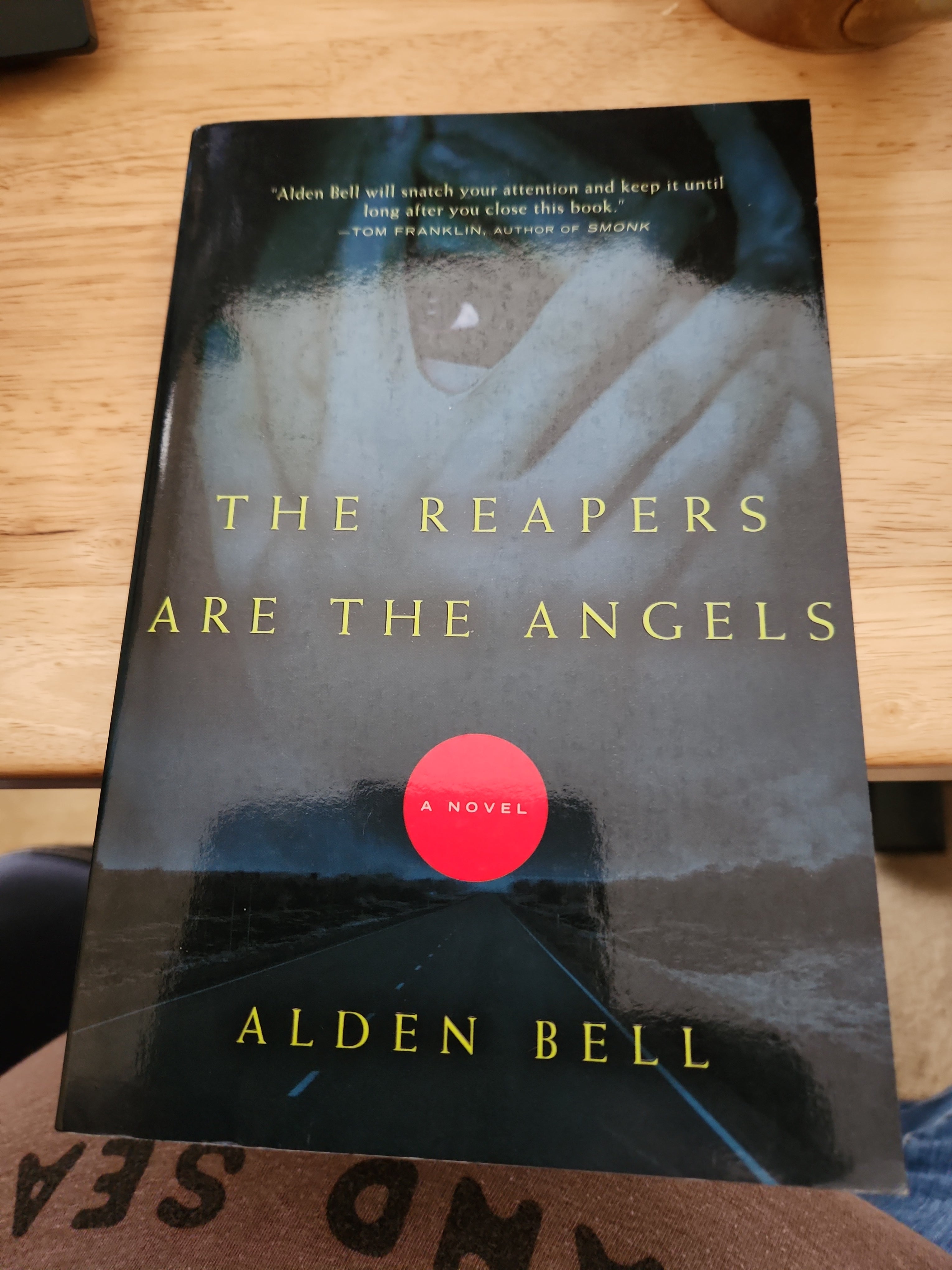 The Reapers Are the Angels