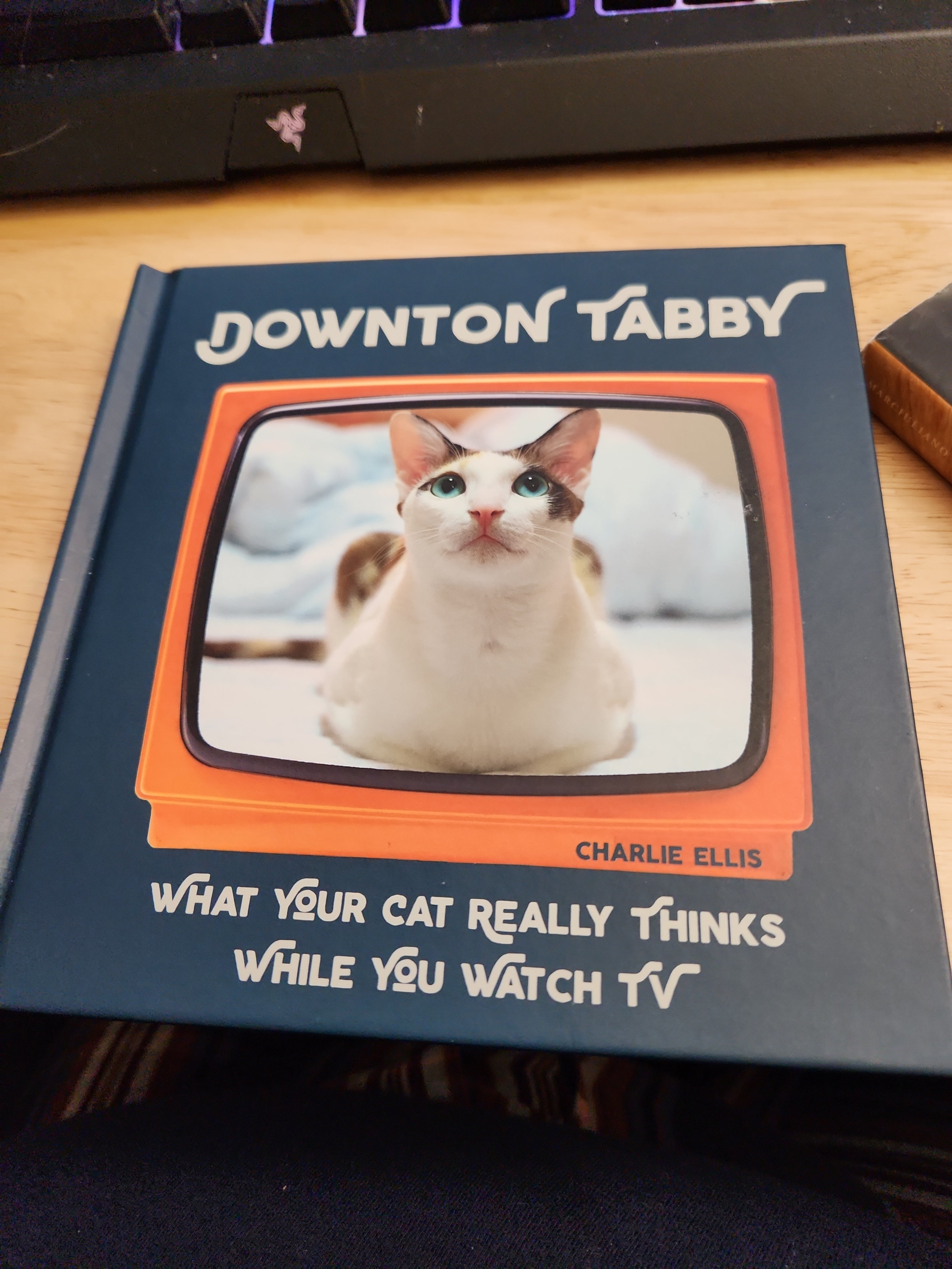 Downton Tabby