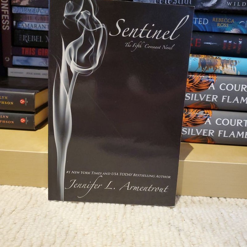 Sentinel 1st edition