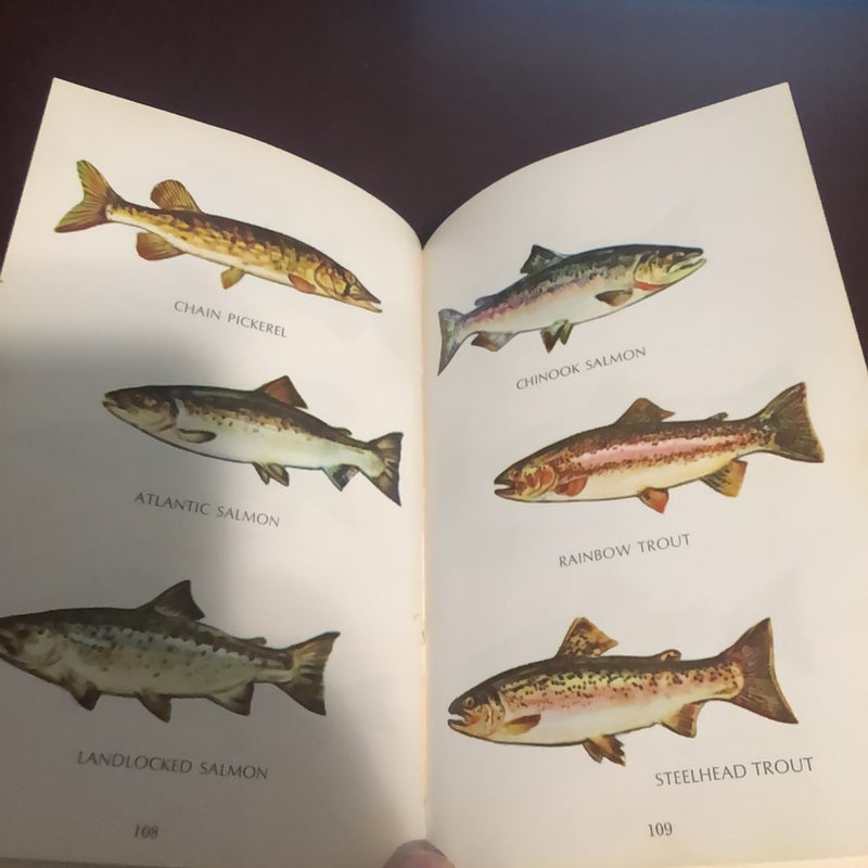 Sportsman’s Guide To Game Fish