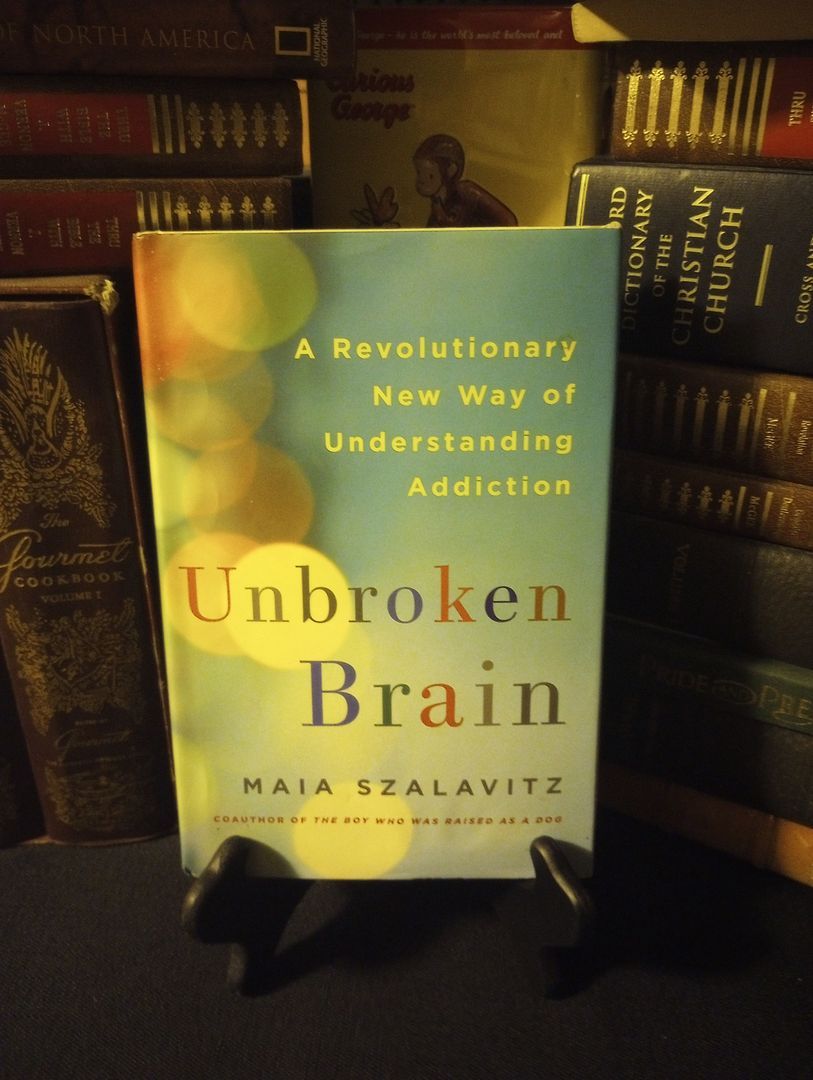 Unbroken Brain