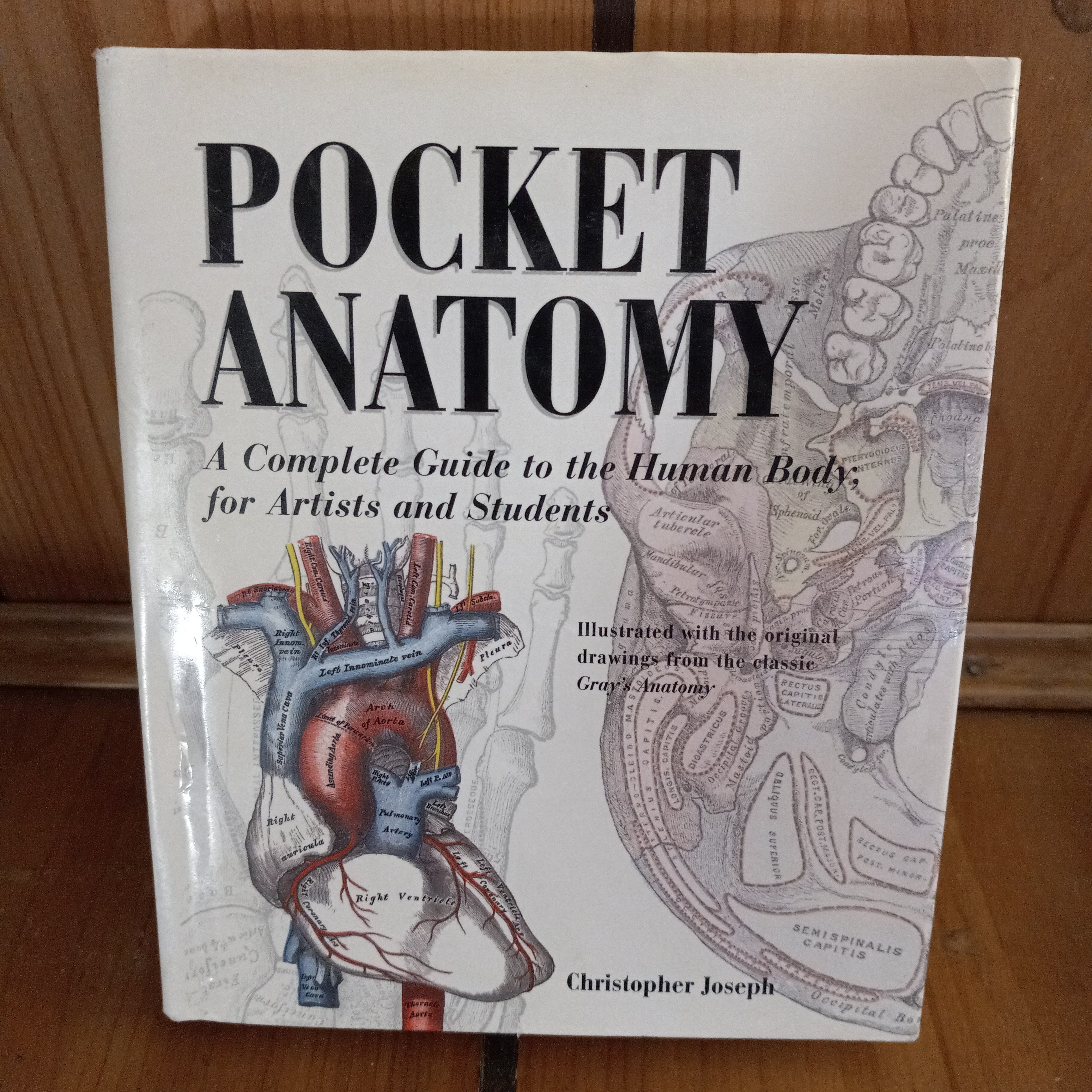 Pocket Anatomy