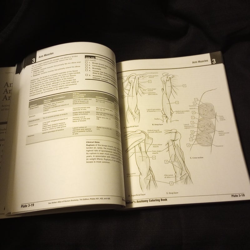 Netter's Anatomy Coloring Book Updated Edition