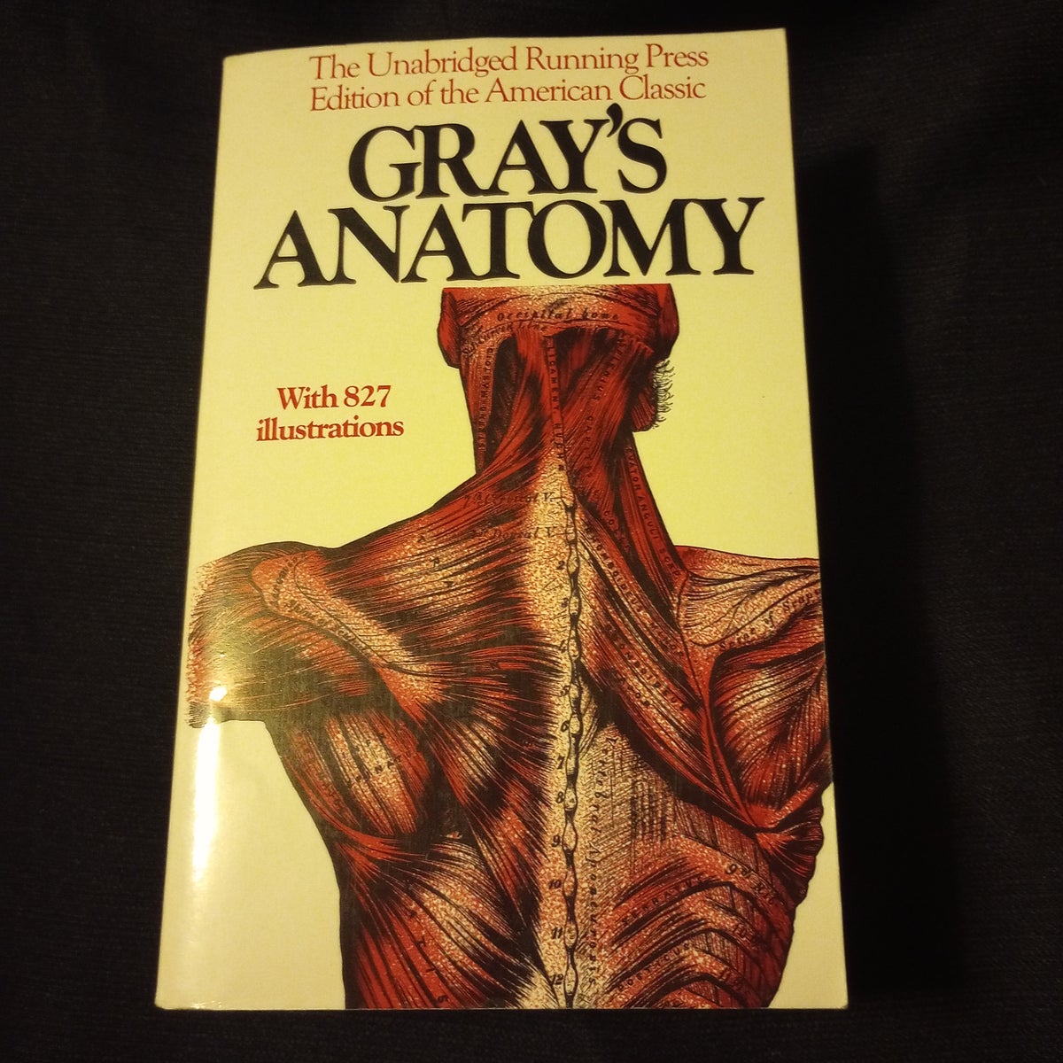 Gray's Anatomy