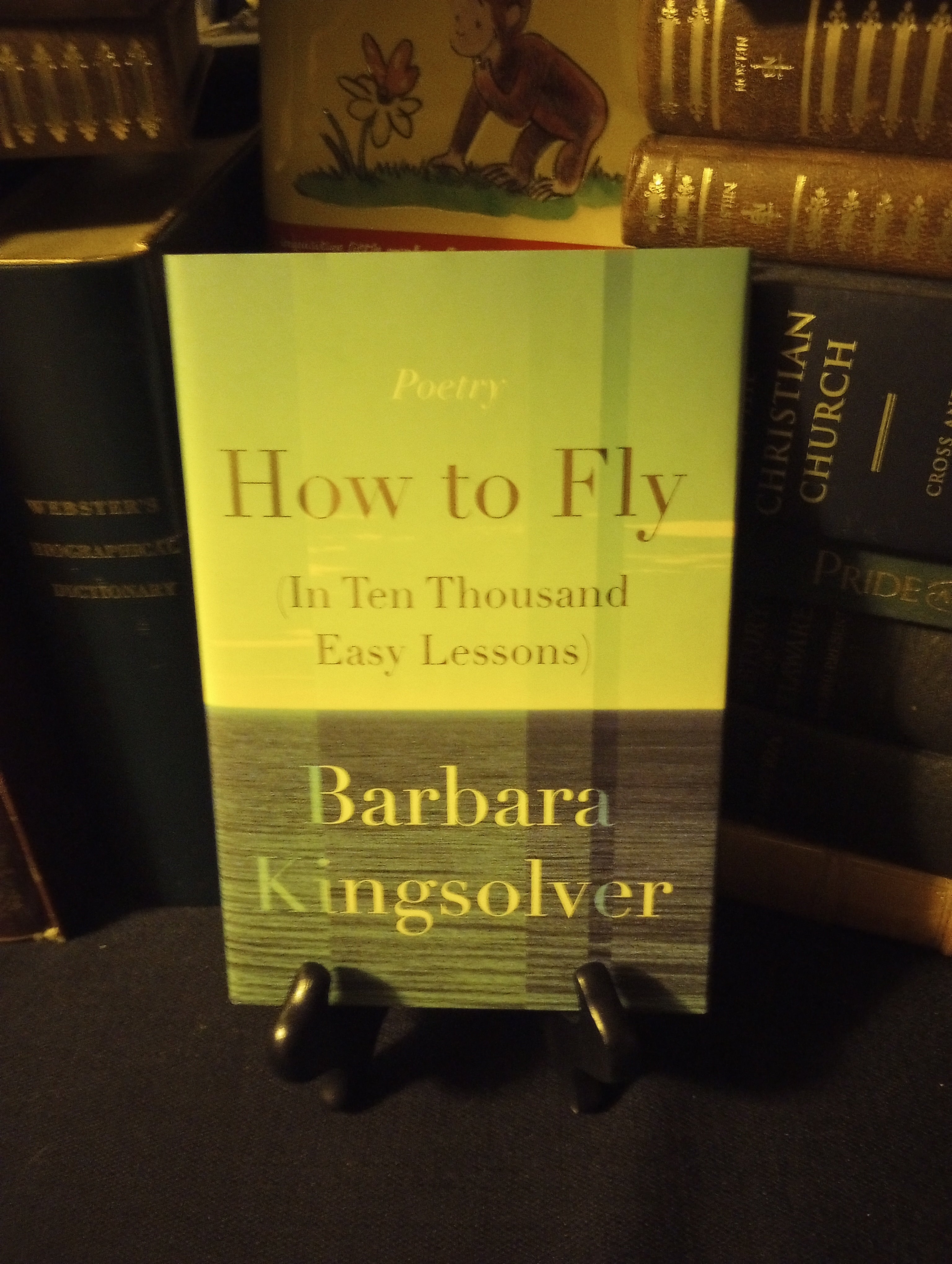 How to Fly (in Ten Thousand Easy Lessons)