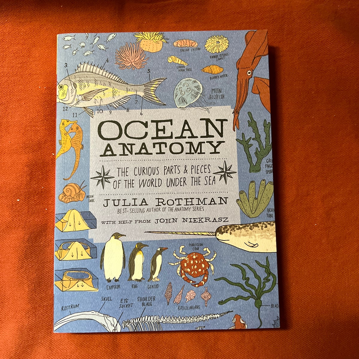 Ocean Anatomy by Julia Rothman, John Niekrasz