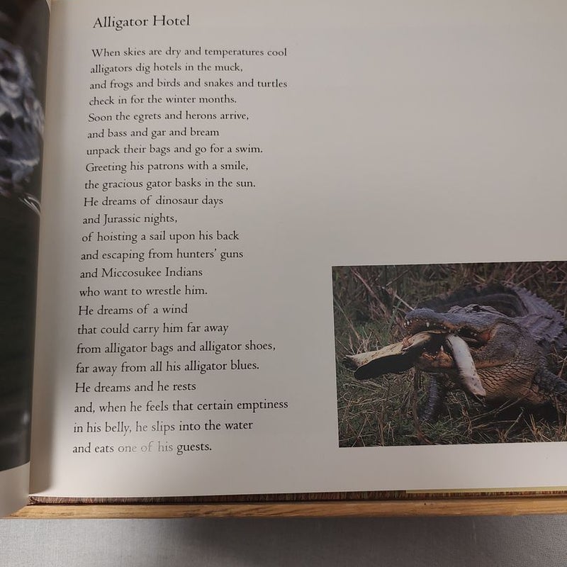 Sawgrass Poems