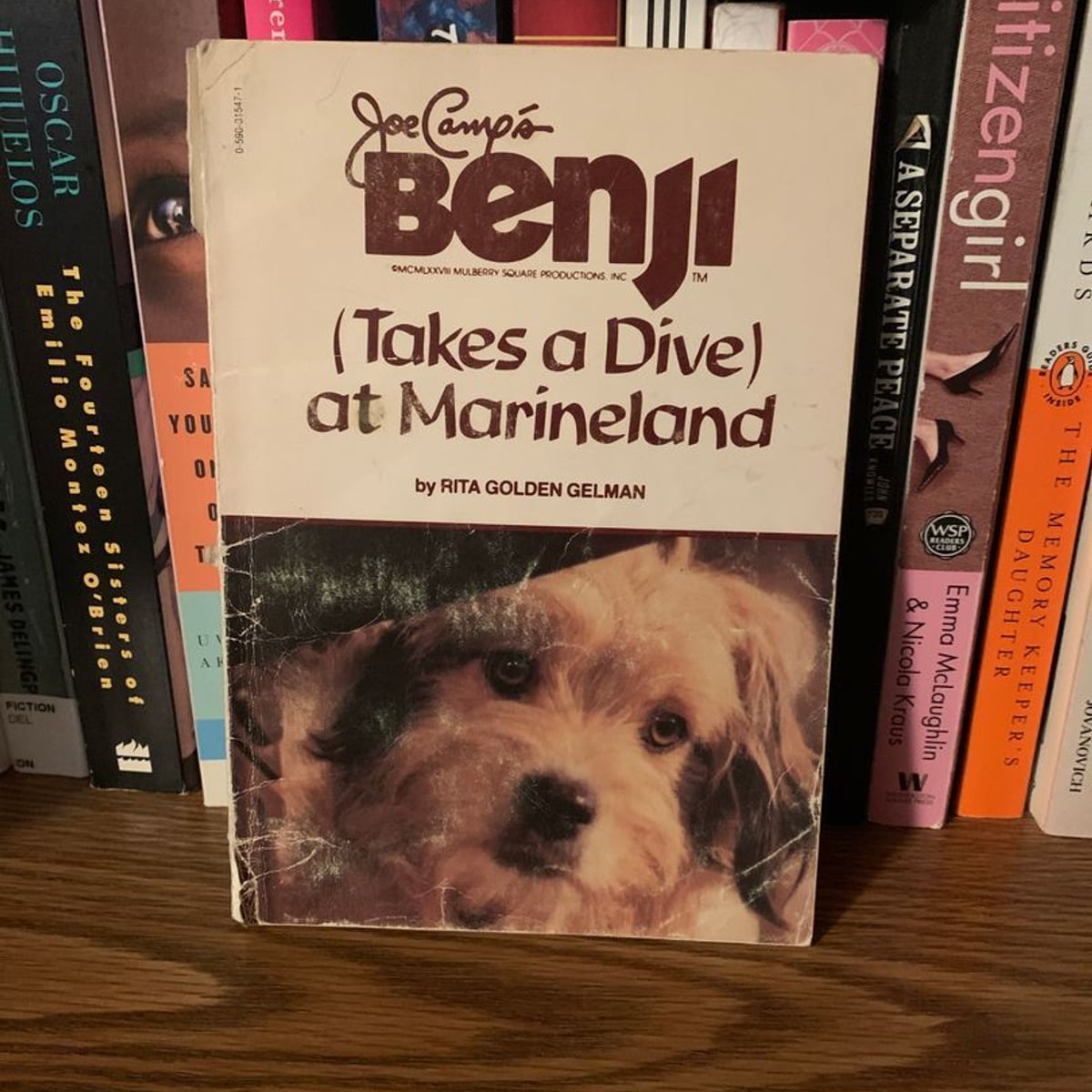 Benji Takes a Dive at Marineland by Rita Golden Gelman