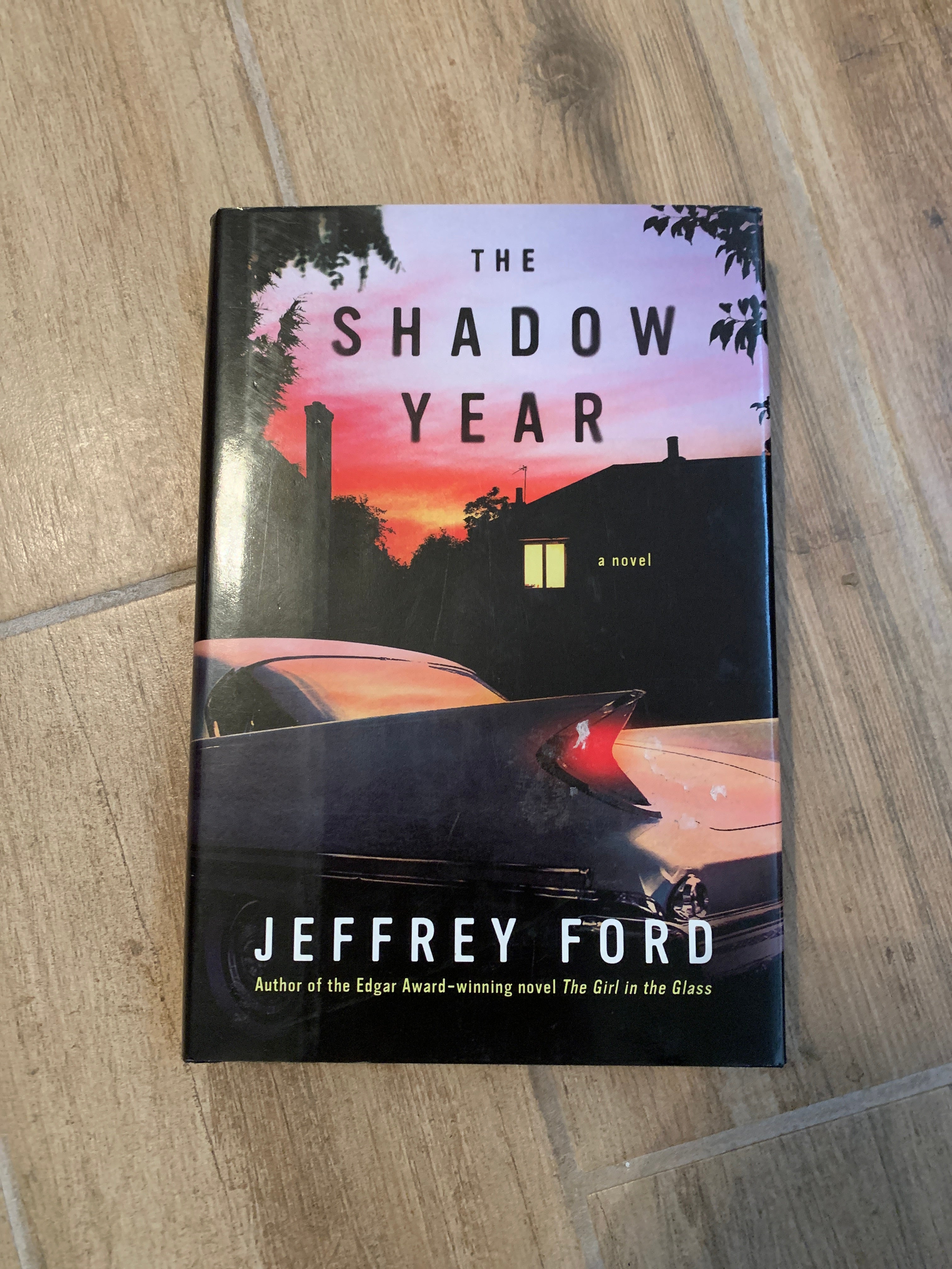 The Shadow Year