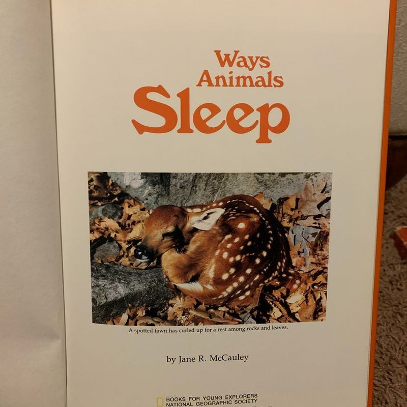 Ways Animals Sleep