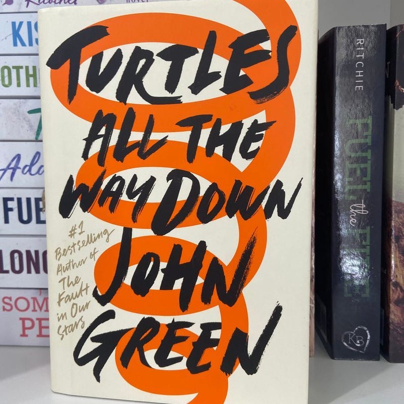 Turtles All the Way Down