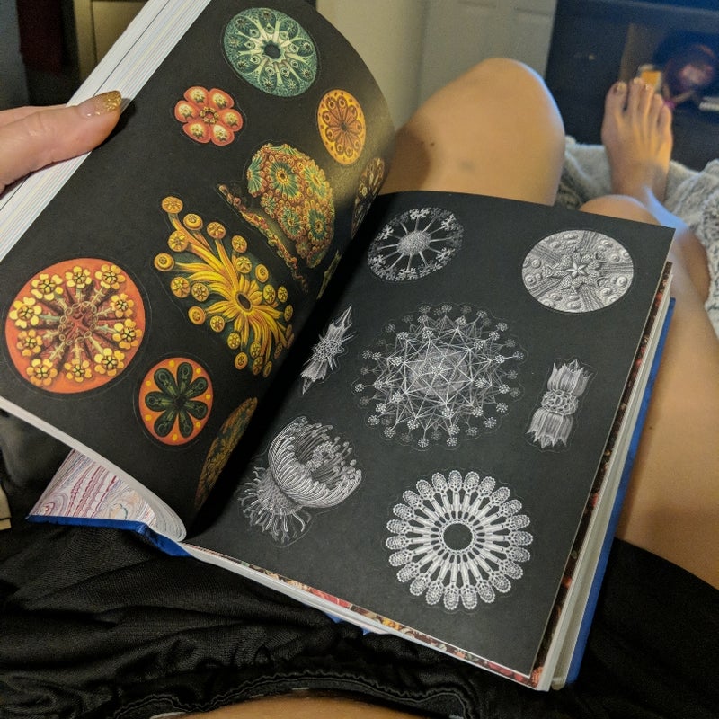 antiquarian sticker book