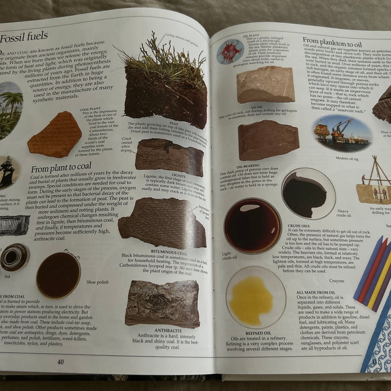 DK Eyewitness Books - Fossil