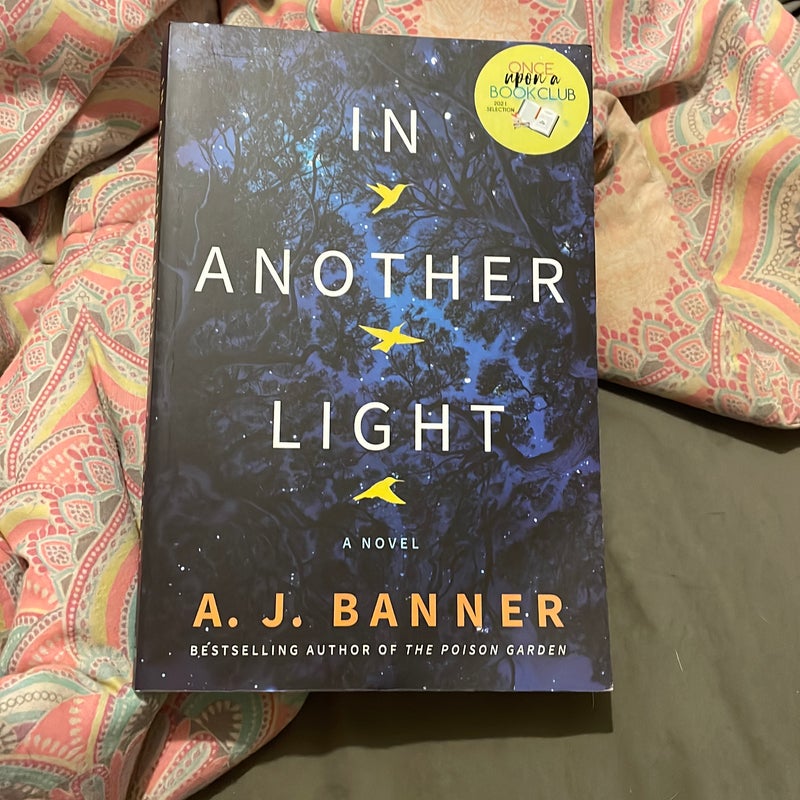 In Another Light