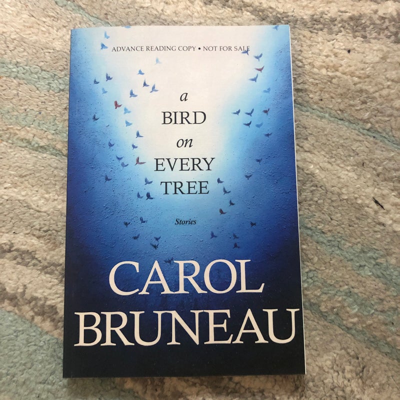 A Bird on Every Tree