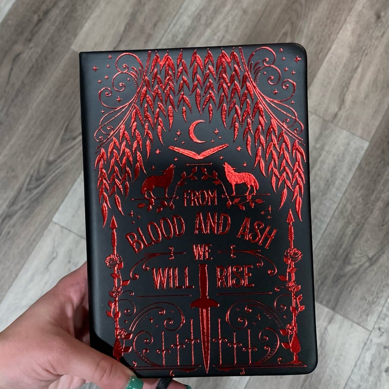 FAIRYLOOT EXCLUSIVE From Blood & Ash Reading Journal