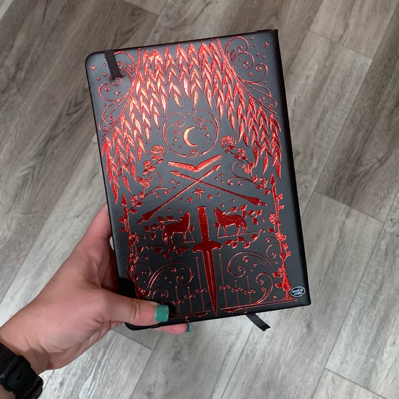 FAIRYLOOT EXCLUSIVE From Blood & Ash Reading Journal