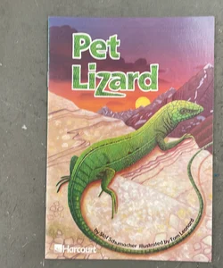 Pet Lizard