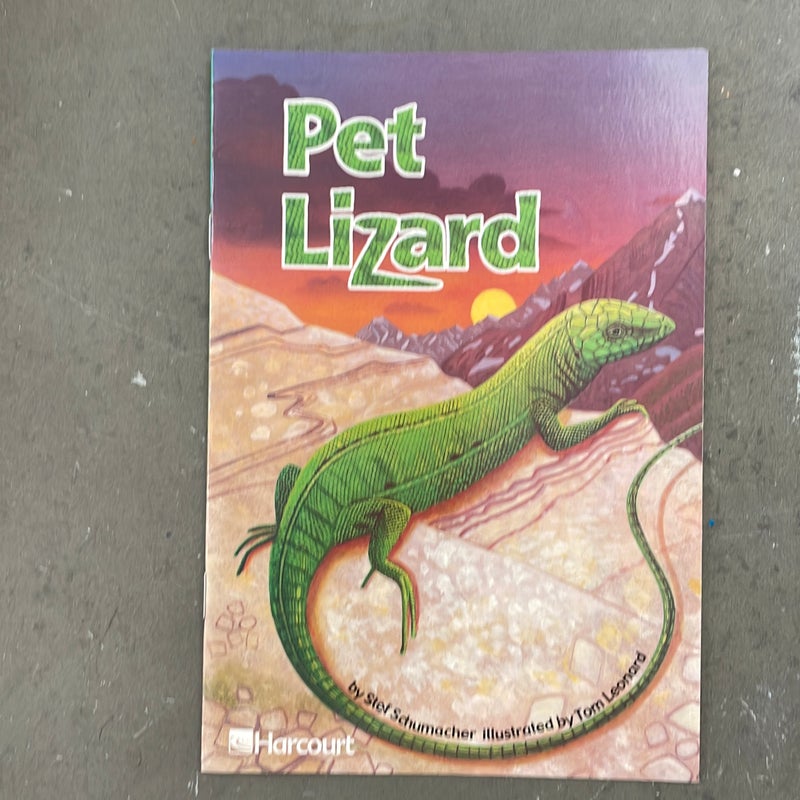 Pet Lizard