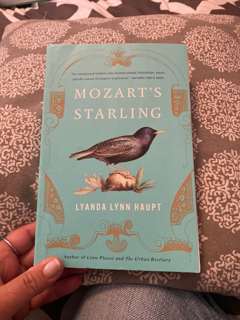 Mozart's Starling