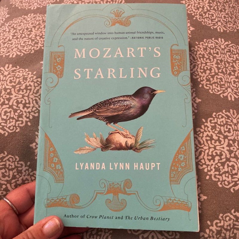 Mozart's Starling