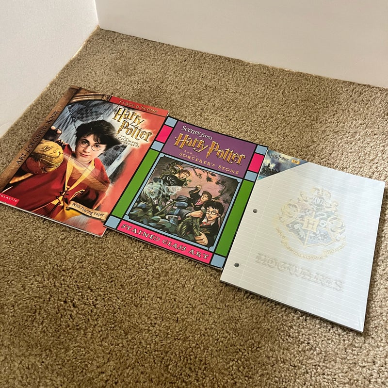 Harry Potter Activity and Craft Books 