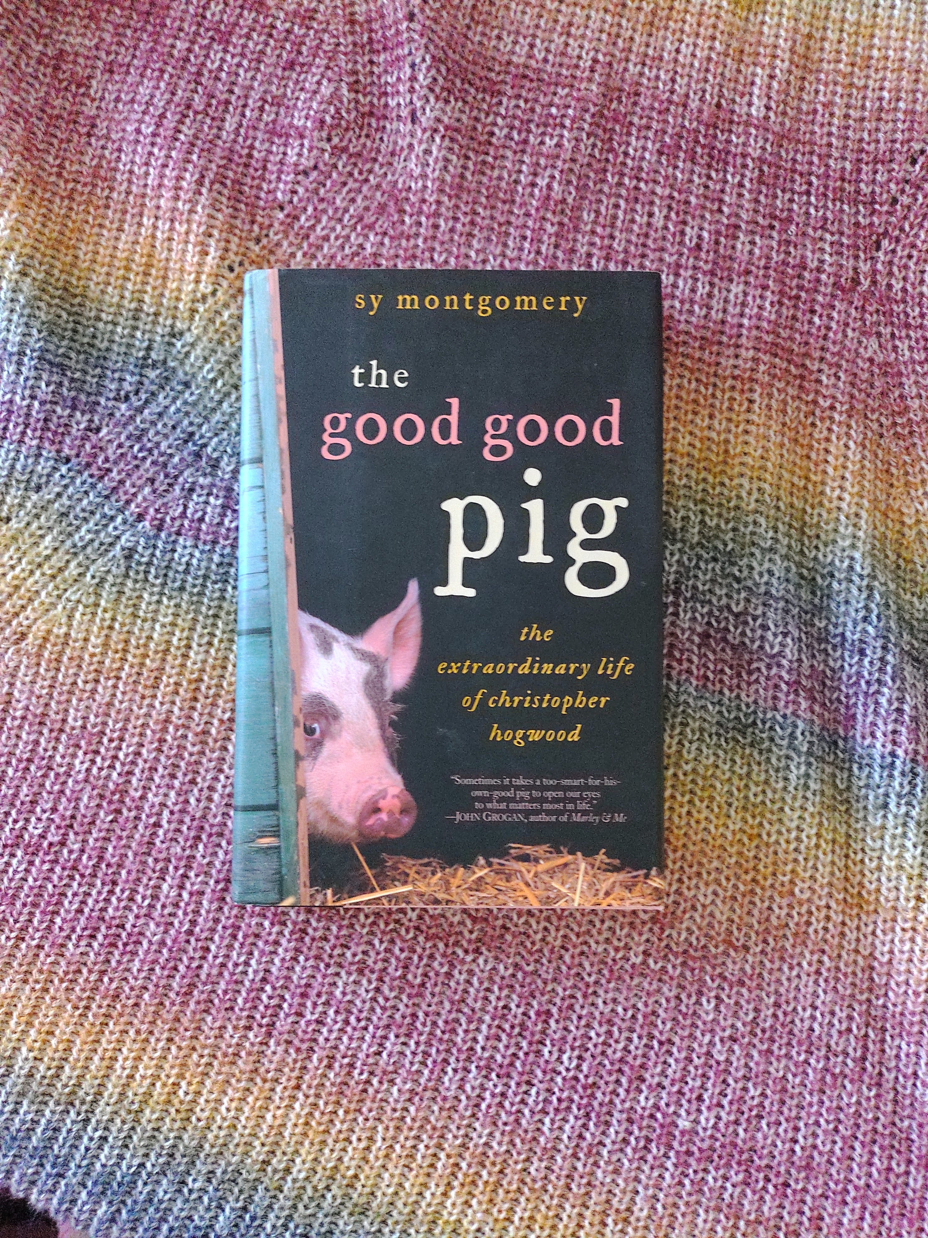 The Good Good Pig