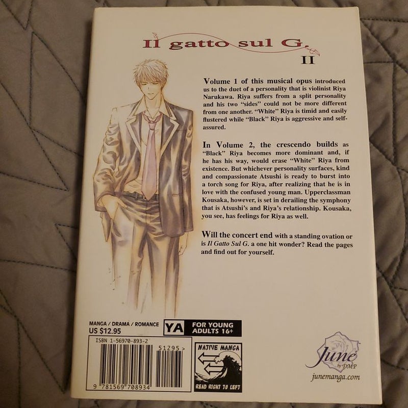 Il Gatto Sul G
