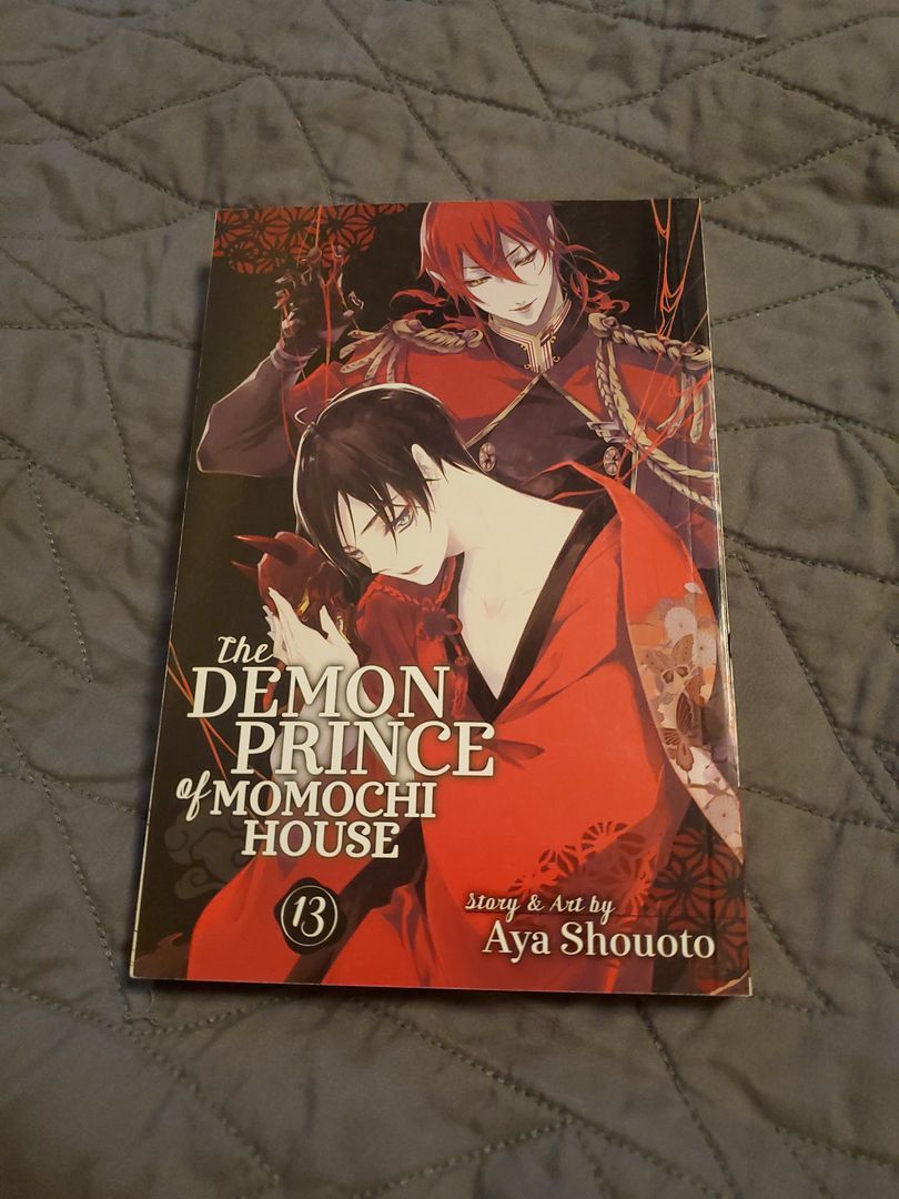 The Demon Prince of Momochi House, Vol. 13