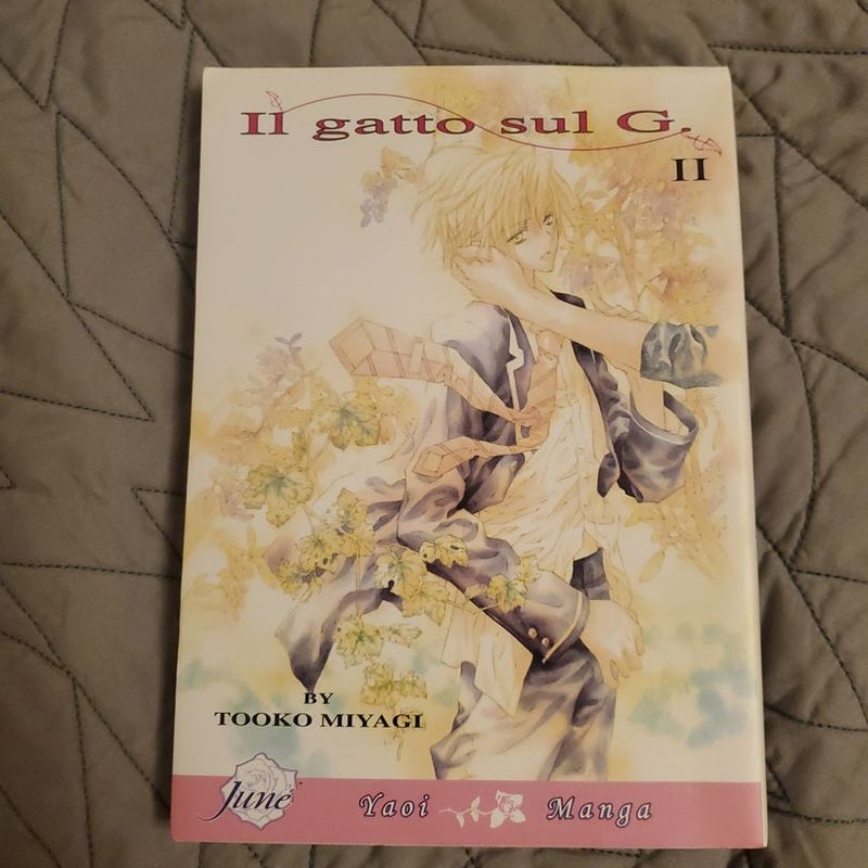 Il Gatto Sul G