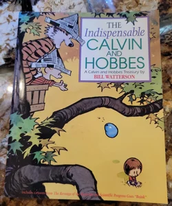 The Indispensable Calvin and Hobbes