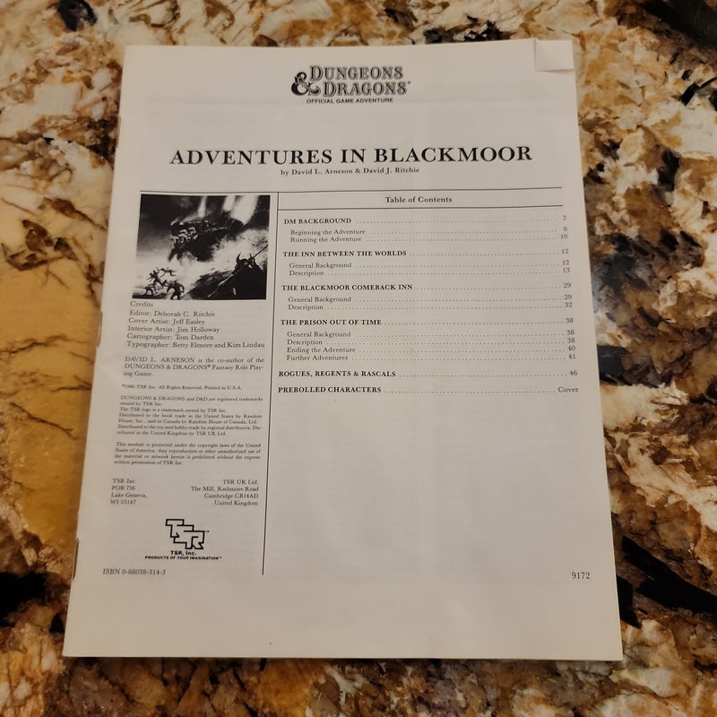 Dungeons and Dragons: Adventures in Blackmoor