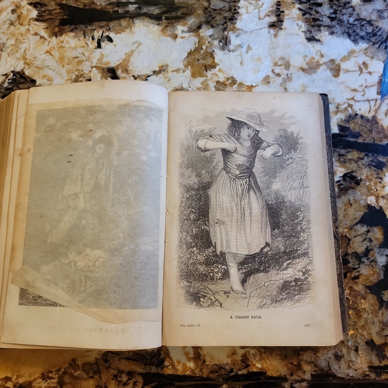 Godey's lady's book and magazine 