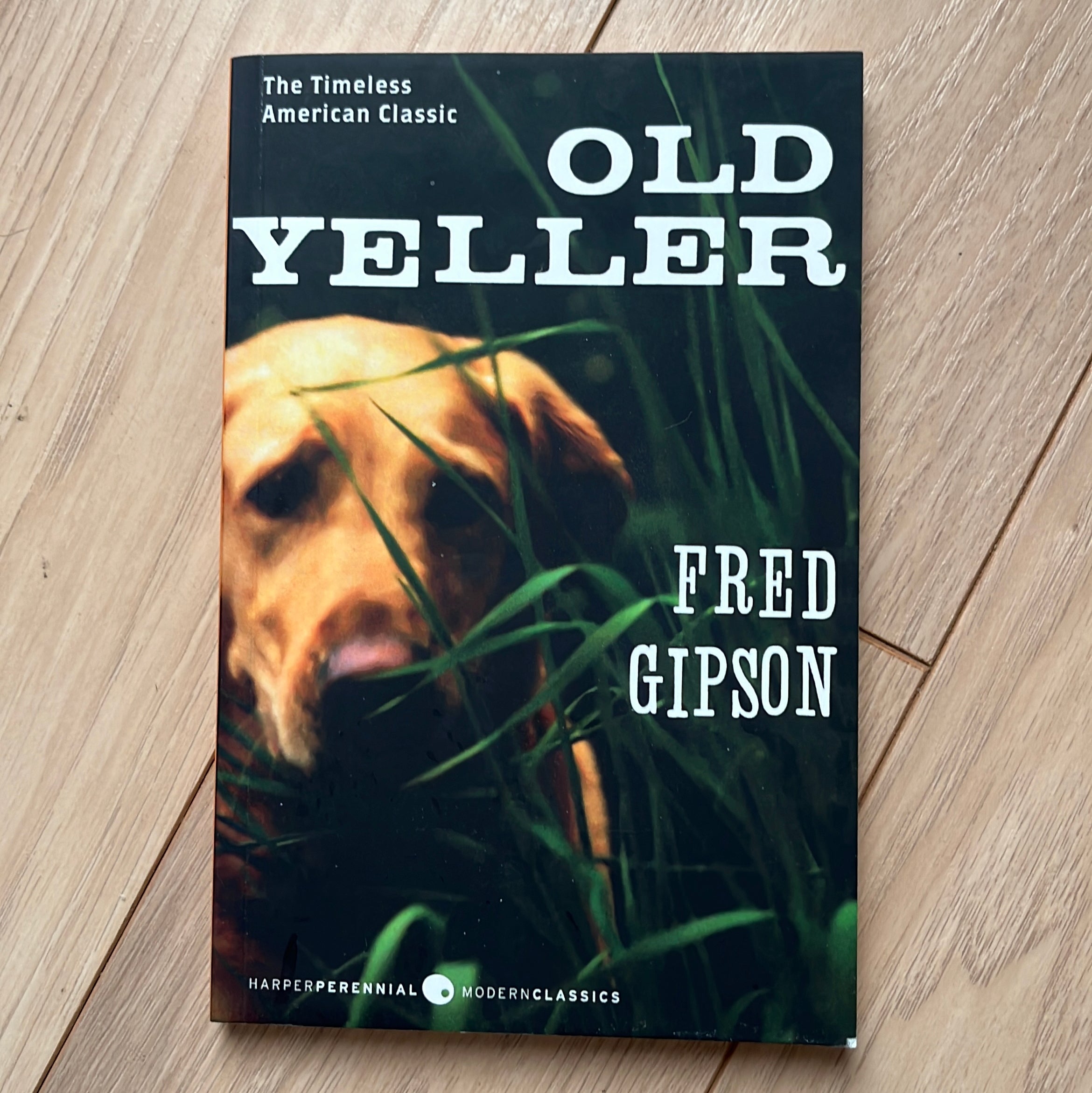 Old Yeller