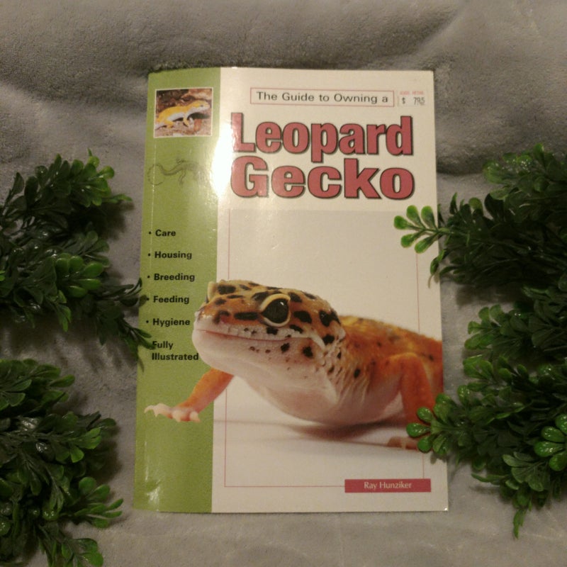 Leopard Gecko