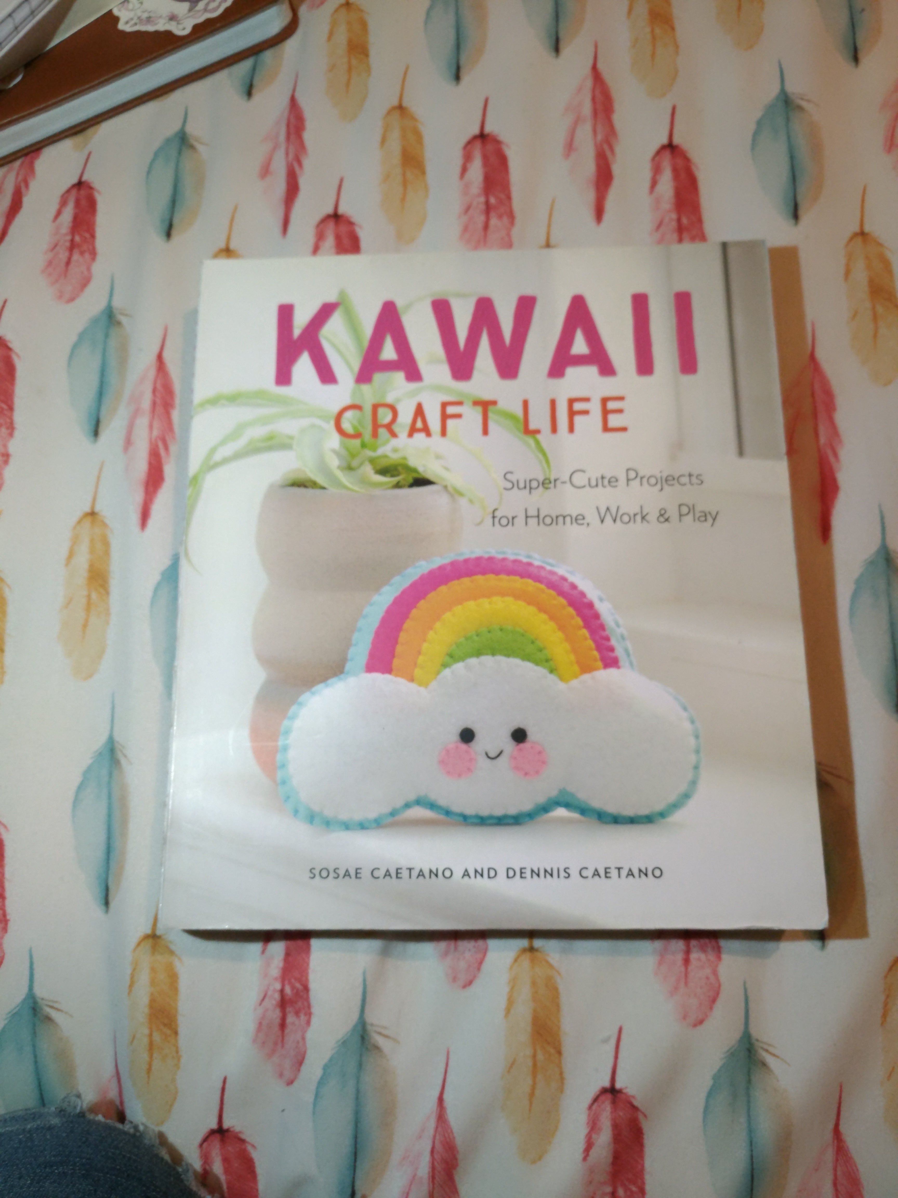 Kawaii Craft Life