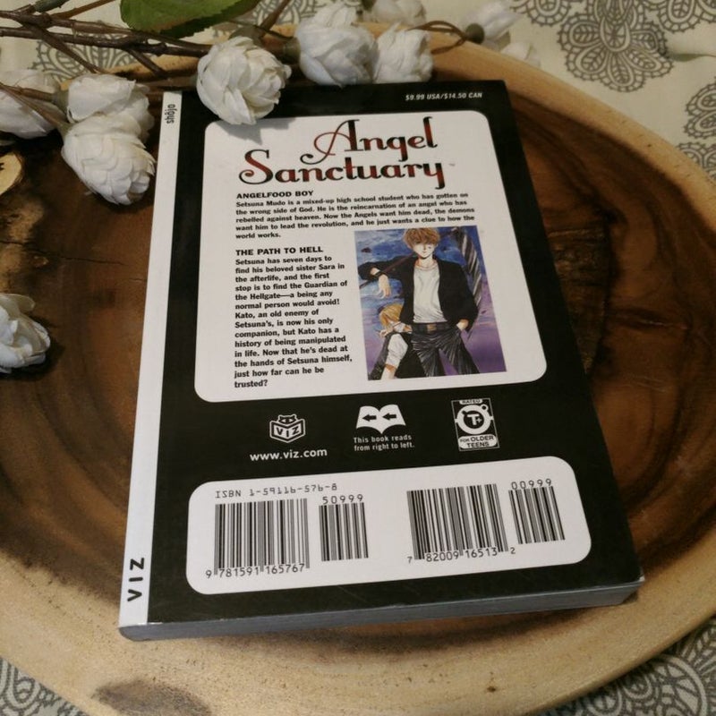 Angel Sanctuary, Vol. 5