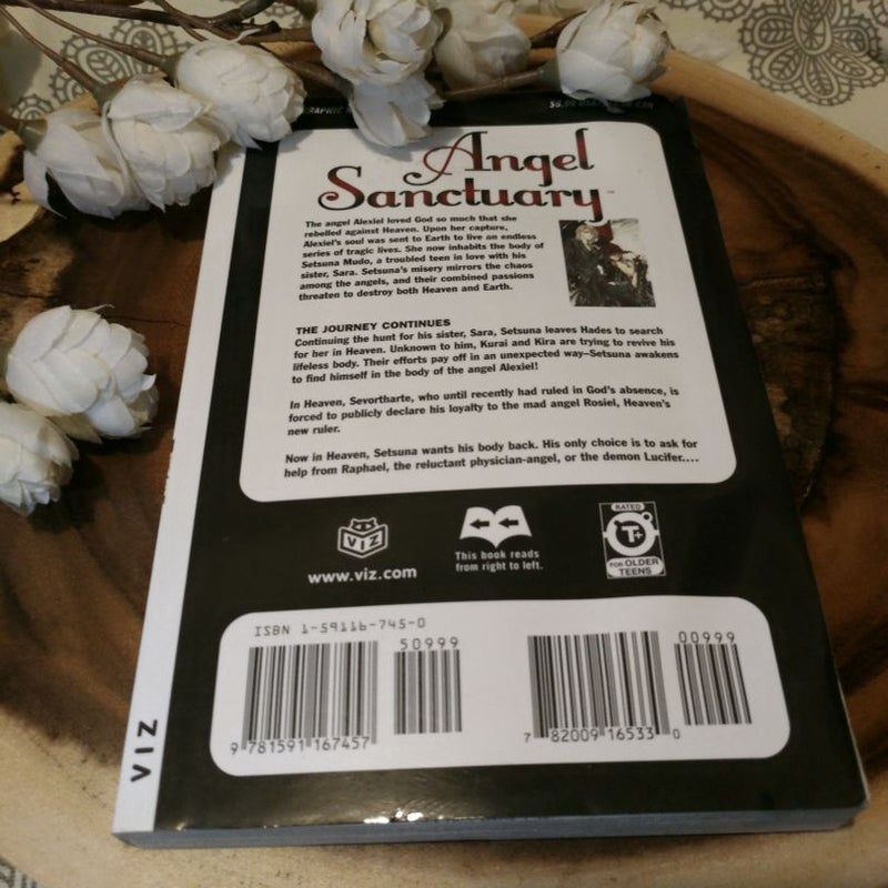 Angel Sanctuary, Vol. 7